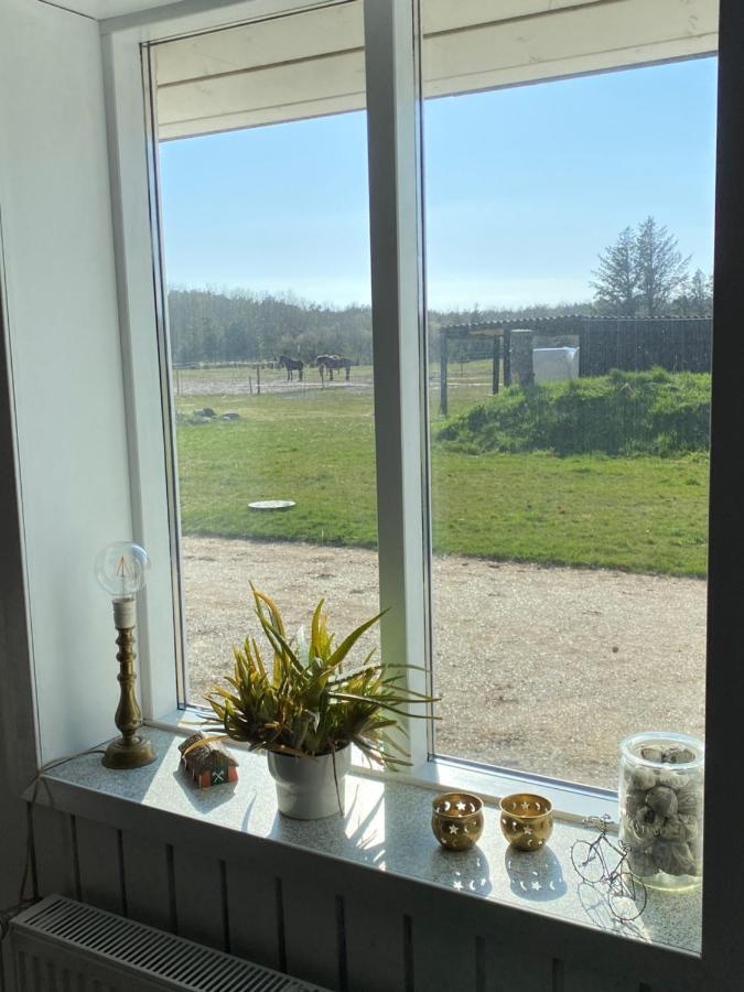 Appartement Hyggelig V/ Blokhus